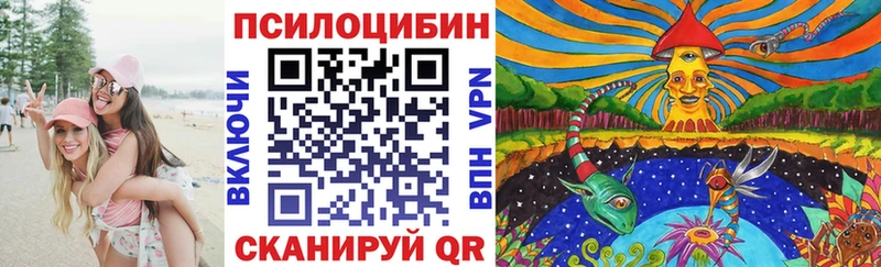 как найти закладки  Великие Луки  Псилоцибиновые грибы Psilocybine cubensis 