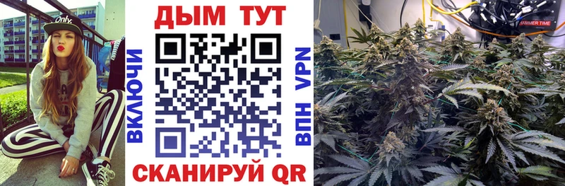 кракен зеркало  наркота  Великие Луки  Канабис OG Kush 
